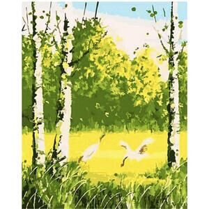 Paint by Number for Adult Oil Painting Canvas Kits 16 x 20 Paintwork